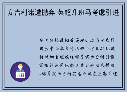 安吉利诺遭抛弃 英超升班马考虑引进